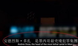 ass视频在线观看,在线观看体验全解析