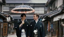 同性婚礼视频在线观看,在线观看甜蜜瞬间回顾