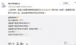 圈内爆料蓝盈莹是谁,圈内爆料揭示的神秘面纱