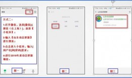 最新动态爆料小程序,小程序爆火背后的秘密与趋势