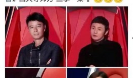 新晋博主爆料最新消息