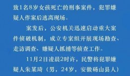 长沙公安局爆料案件最新,连环盗窃案告破，警方揭秘犯罪团伙作案手法