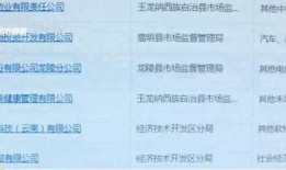 5959在线观看,揭秘热门在线观看剧集的精彩瞬间