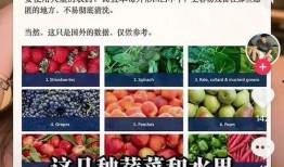 爆料食品视频怎么做好看,如何打造吸睛的爆料食品视频