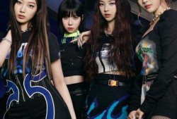 李玟家的保姆爆料视频,独家爆料视频揭秘明星家庭生活