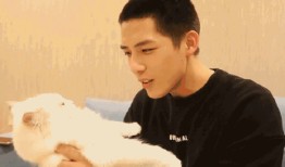 娱乐圈吃瓜爆料王安宇,娱乐圈幕后真相大曝光