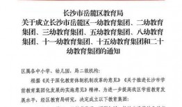 深圳黑厂爆料案件最新进展,调查深入，涉案人员名单浮出水面