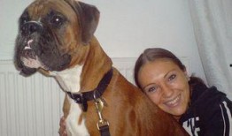 爱犬奇迹在线观看,忠诚守护，生命奇迹再现