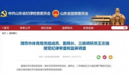 潍坊爆料最新消息今天,突发事件引发关注，详情即将揭晓！