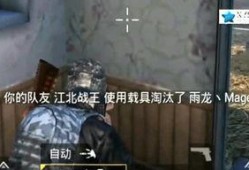 壮哥吃鸡爆料是谁啊视频,揭秘神秘人物背后的故事