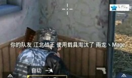 壮哥吃鸡爆料是谁啊视频,揭秘神秘人物背后的故事