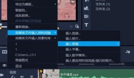 散兵技能语音爆料视频