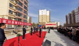 哈利新作业爆料视频在哪看,观看途径大公开