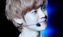 鹿晗韩国爆料视频大全最新,独家幕后花絮大公开