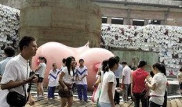 女子爆料佛山新闻事件,揭开新闻事件背后惊人真相