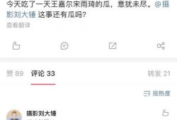 摄影刘大锤今日爆料视频,今日摄影界重磅爆料视频深度解析