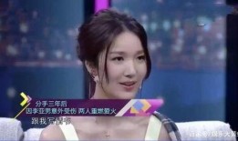 王祖蓝老婆爆料视频播放,揭秘明星夫妻背后的温馨瞬间