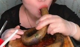 东北米雪在线观看,在线重温冬日浪漫，共赴冰雪盛宴