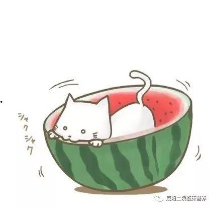 娱乐吃瓜群头像图片,揭秘明星幕后生活的一扇窗